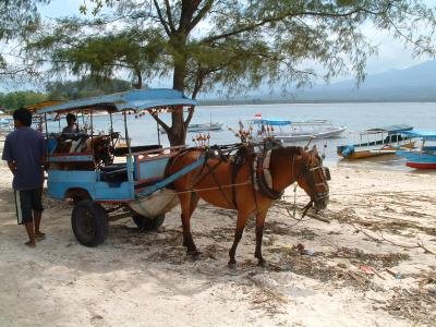 Lokaal vervoer op Lombok
